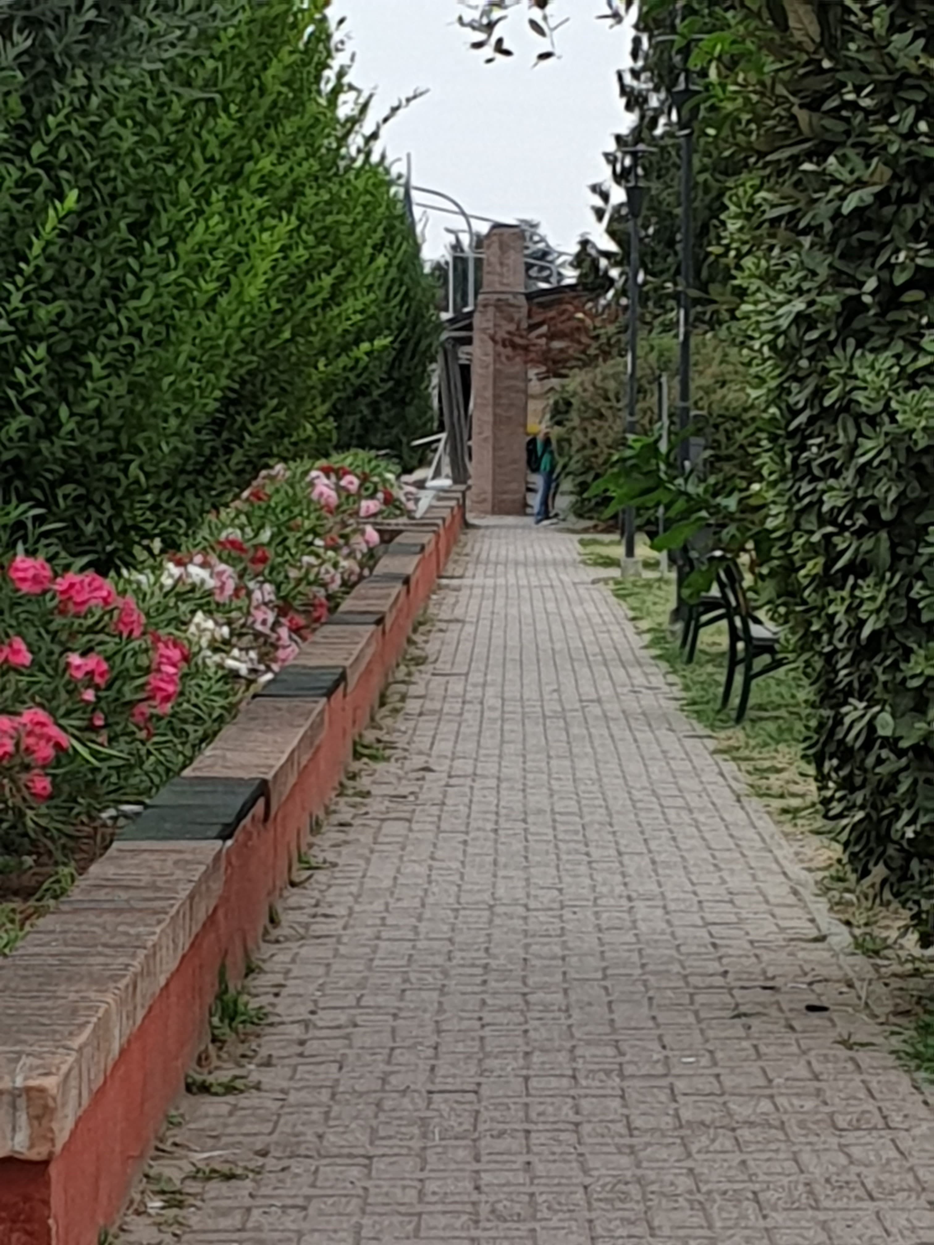 Adozione del Piano per l'Eliminazione delle Barriere Architettoniche (PEBA)