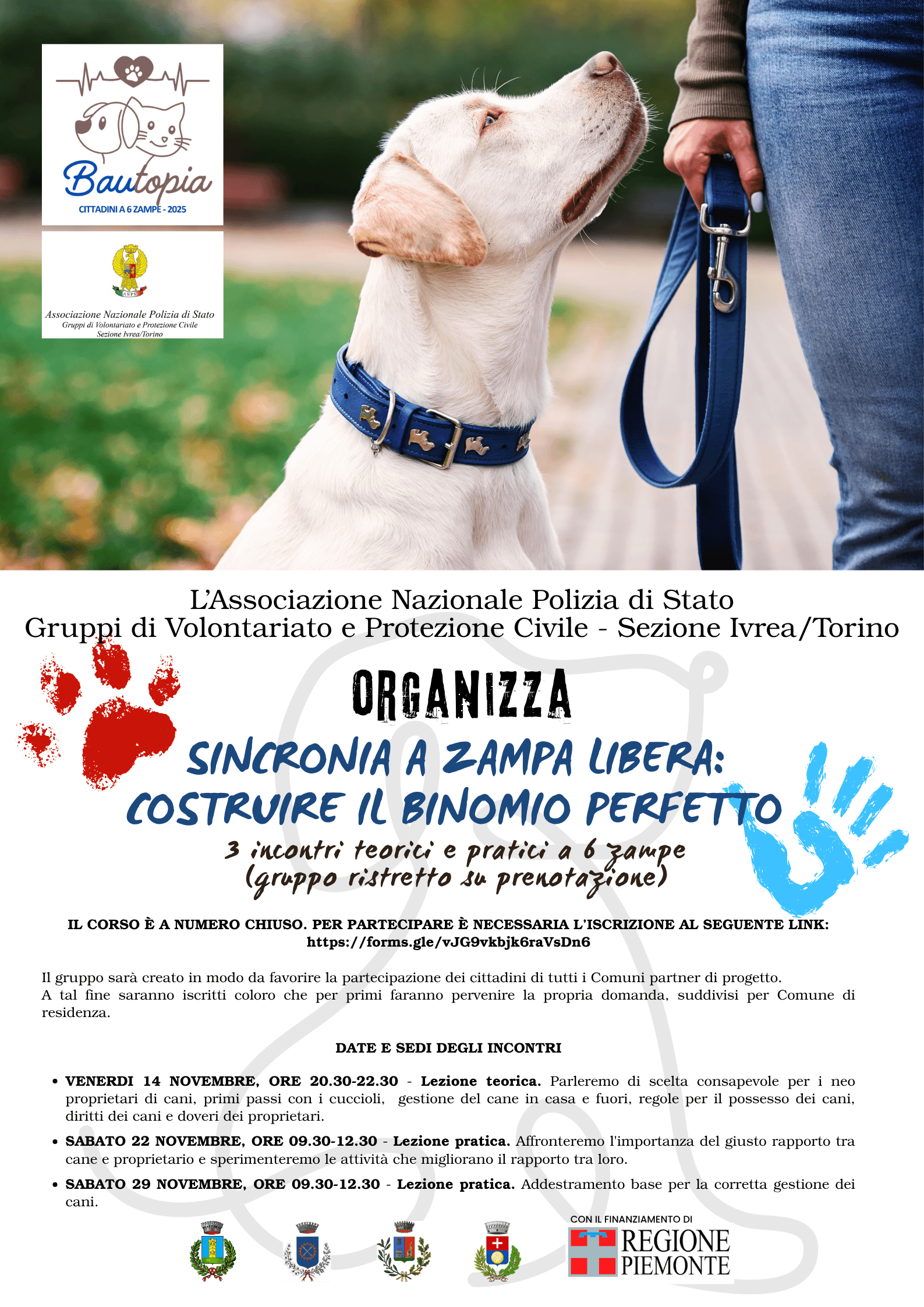 🐾 Bautopia 2025: Sincronia a Zampa Libera
