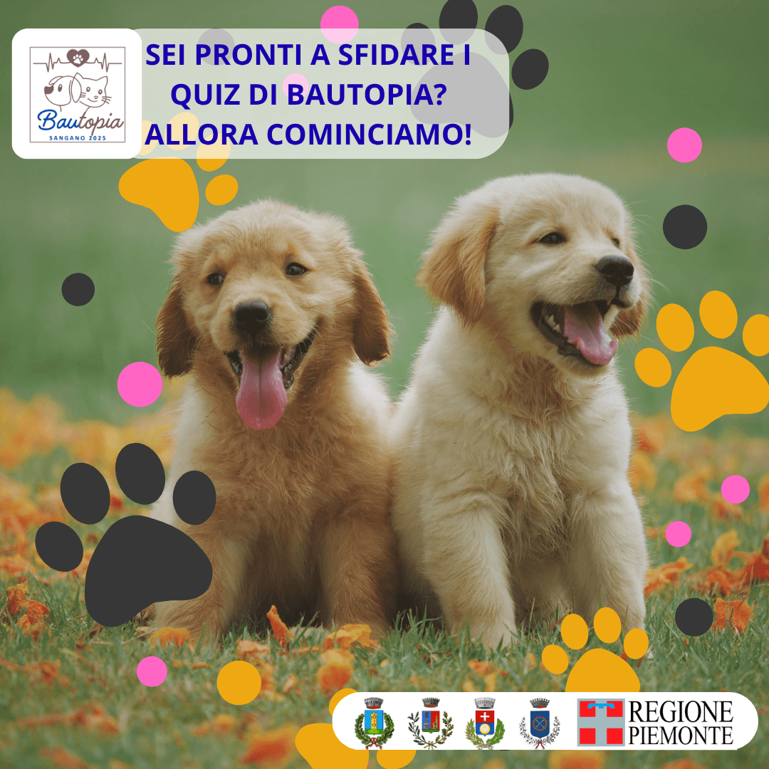 Ecco la seconda puntata del SUPER QUIZ DI BAUTOPIA!