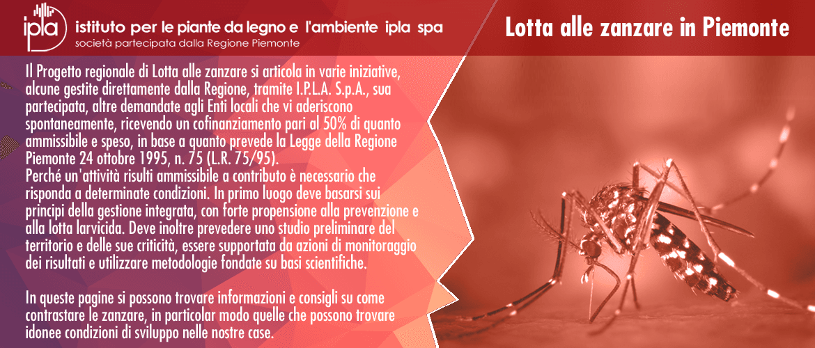 ZANZARE? NO GRAZIE!