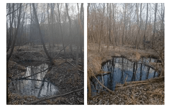 Il Parco Forestale del Sangone ottiene il finanziamento regionale: un successo condiviso!