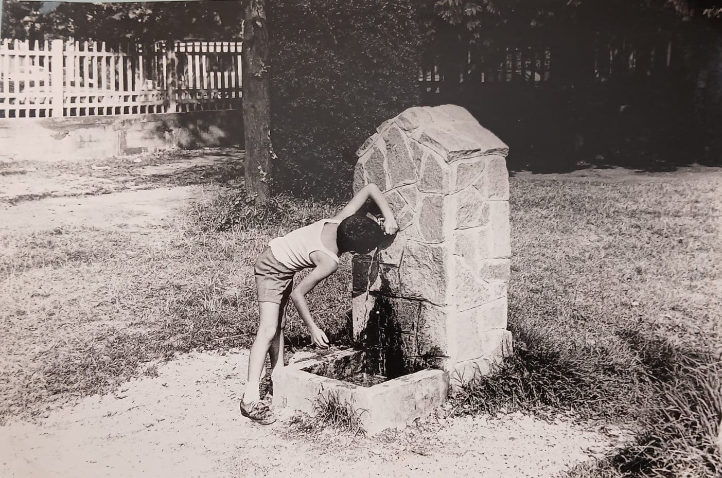 RUBRICA SCATTI DALLA MEMORIA: "Estate '82: I Gavettoni della Memoria" di Marco Mussetta