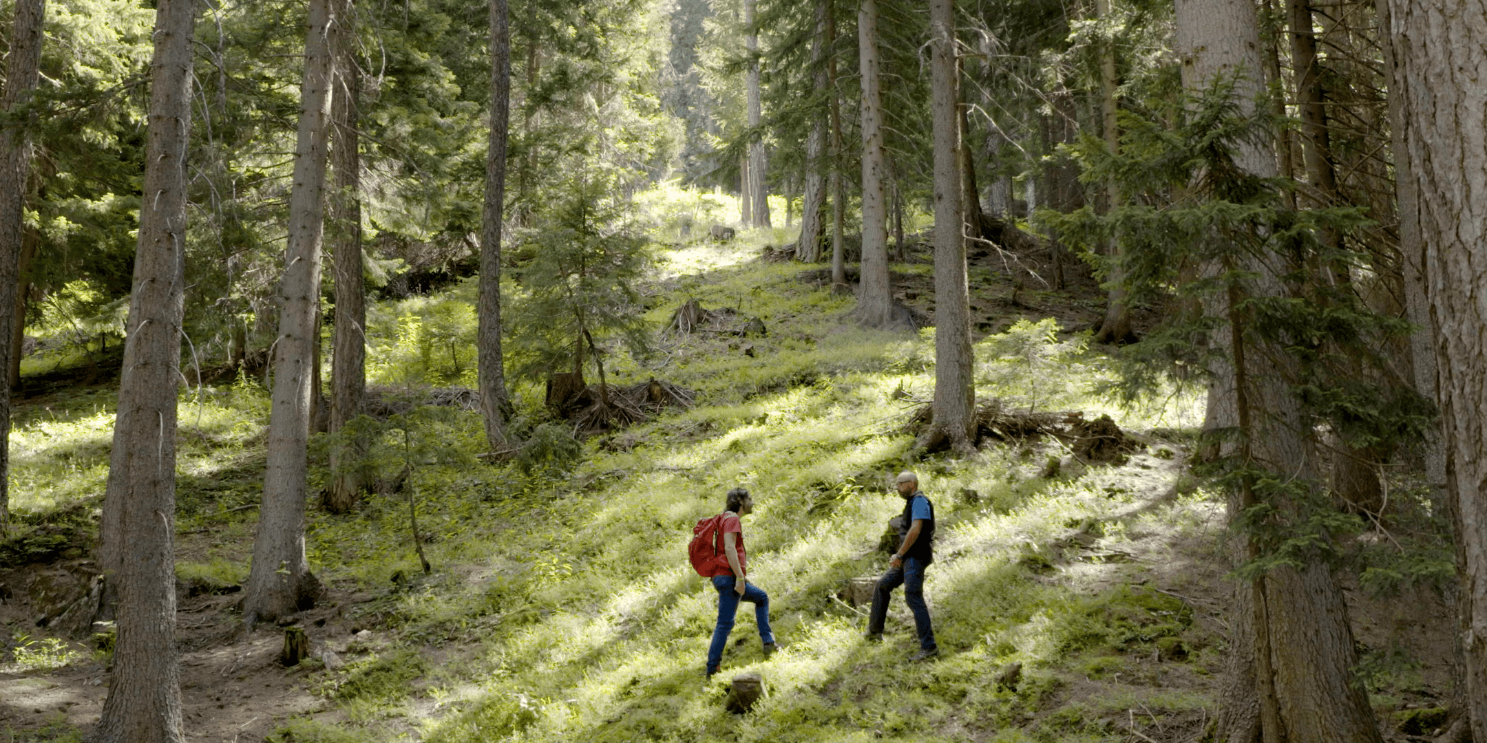 ARPA Piemonte - Invito alla proiezione del documentario "Il seme del futuro"