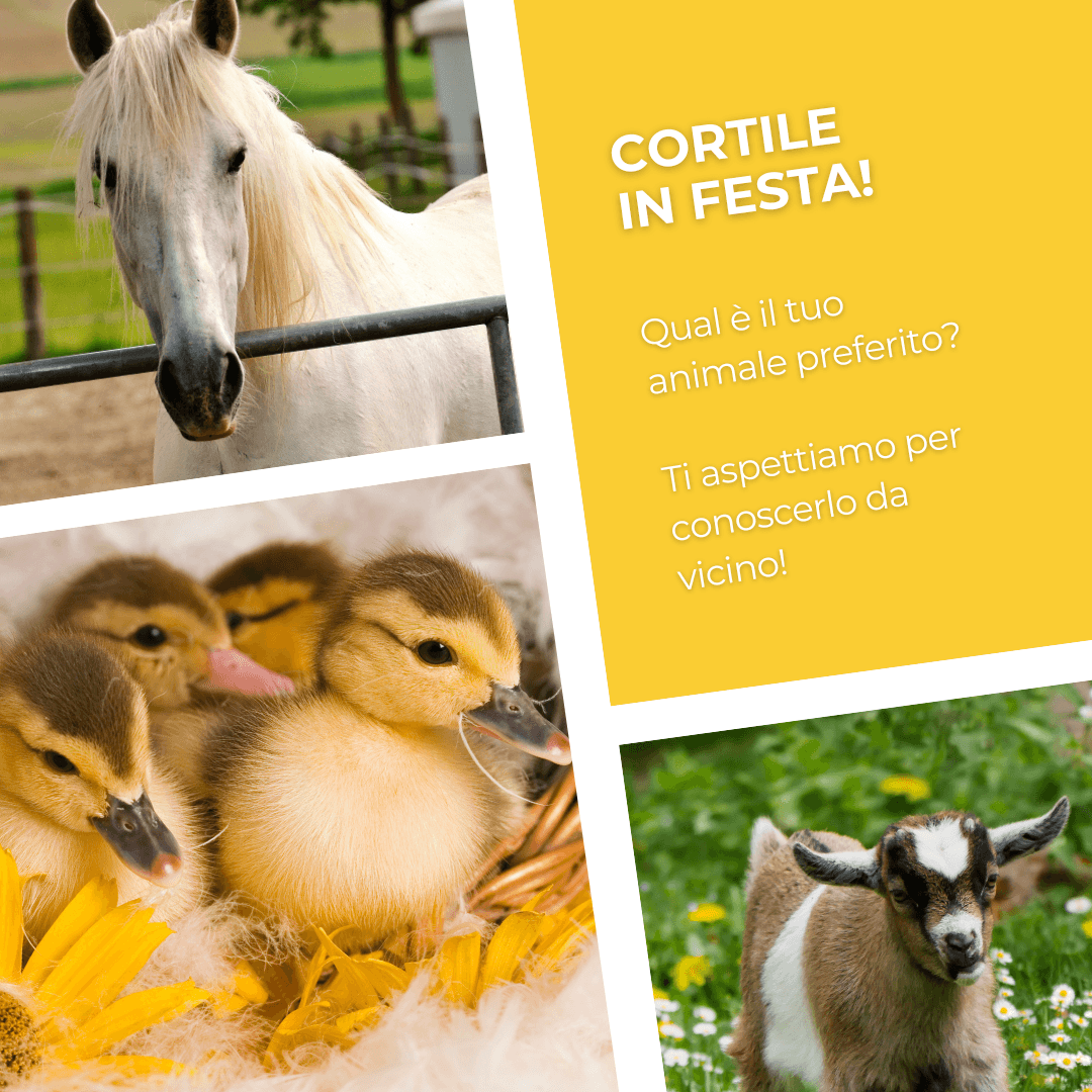 FIERA AGRICOLA 2025 - SANGANO!